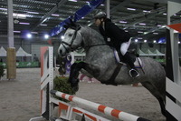 Résultats CSO Salon du Cheval 2017 