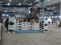 CSO Salon du Cheval Micropolis
