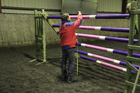 Puissance Chevaux et Poneys 2019 ! 