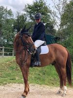 Dressage Ã  l'Etrier Bisontin 2023