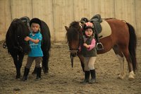 Baby poney - Éveil autour du poney pour les tout-petits