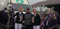 Lamotte Beuvron 2014