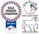 Ecole Française d'Equitation